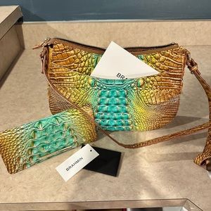 Brahmin Shayna and Ady wallet. Cactus Ombré Melborne. New, tags not attached.